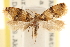  ( - CCDB-22959-H08)  @11 [ ] CreativeCommons - Attribution (2014) CBG Photography Group Centre for Biodiversity Genomics