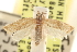  (Argyrotaenia franciscana - CCDB-22940-D03)  @11 [ ] CreativeCommons - Attribution (2014) CBG Photography Group Centre for Biodiversity Genomics