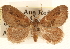  ( - CCDB-22940-E03)  @11 [ ] CreativeCommons - Attribution (2014) CBG Photography Group Centre for Biodiversity Genomics