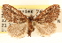  ( - CCDB-22940-E05)  @14 [ ] CreativeCommons - Attribution (2014) CBG Photography Group Centre for Biodiversity Genomics