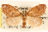  ( - CCDB-22940-E06)  @14 [ ] CreativeCommons - Attribution (2014) CBG Photography Group Centre for Biodiversity Genomics