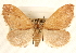  ( - CCDB-22940-E09)  @14 [ ] CreativeCommons - Attribution (2014) CBG Photography Group Centre for Biodiversity Genomics