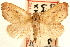  ( - CCDB-22940-F02)  @11 [ ] CreativeCommons - Attribution (2014) CBG Photography Group Centre for Biodiversity Genomics