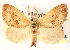  ( - CCDB-22940-F03)  @14 [ ] CreativeCommons - Attribution (2014) CBG Photography Group Centre for Biodiversity Genomics