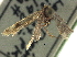  ( - CCDB-22942-B03)  @12 [ ] CreativeCommons - Attribution (2014) CBG Photography Group Centre for Biodiversity Genomics