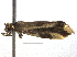  ( - CCDB-22942-B04)  @11 [ ] CreativeCommons - Attribution (2014) CBG Photography Group Centre for Biodiversity Genomics