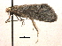  ( - CCDB-22942-C07)  @13 [ ] CreativeCommons - Attribution (2014) CBG Photography Group Centre for Biodiversity Genomics