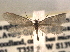  ( - CCDB-22942-C08)  @13 [ ] CreativeCommons - Attribution (2014) CBG Photography Group Centre for Biodiversity Genomics