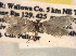  ( - CCDB-22942-C11)  @13 [ ] CreativeCommons - Attribution (2014) CBG Photography Group Centre for Biodiversity Genomics