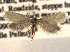  ( - CCDB-22942-D01)  @14 [ ] CreativeCommons - Attribution (2014) CBG Photography Group Centre for Biodiversity Genomics