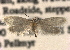  ( - CCDB-22942-D02)  @13 [ ] CreativeCommons - Attribution (2014) CBG Photography Group Centre for Biodiversity Genomics