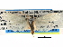  ( - CCDB-22942-F04)  @13 [ ] CreativeCommons - Attribution (2014) CBG Photography Group Centre for Biodiversity Genomics