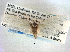  ( - CCDB-22942-F05)  @13 [ ] CreativeCommons - Attribution (2014) CBG Photography Group Centre for Biodiversity Genomics