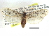  ( - CCDB-22942-F08)  @11 [ ] CreativeCommons - Attribution (2014) CBG Photography Group Centre for Biodiversity Genomics