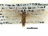  ( - CCDB-22942-F10)  @14 [ ] CreativeCommons - Attribution (2014) CBG Photography Group Centre for Biodiversity Genomics