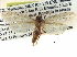  ( - CCDB-22942-F12)  @14 [ ] CreativeCommons - Attribution (2014) CBG Photography Group Centre for Biodiversity Genomics