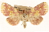  ( - CCDB-22943-B01)  @14 [ ] CreativeCommons - Attribution (2014) CBG Photography Group Centre for Biodiversity Genomics