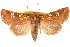 ( - CCDB-22943-E03)  @15 [ ] CreativeCommons - Attribution (2014) CBG Photography Group Centre for Biodiversity Genomics