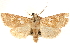  ( - CCDB-22943-E07)  @11 [ ] CreativeCommons - Attribution (2014) CBG Photography Group Centre for Biodiversity Genomics