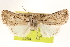  ( - CCDB-22943-H08)  @13 [ ] CreativeCommons - Attribution (2014) CBG Photography Group Centre for Biodiversity Genomics