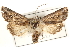  ( - CCDB-22944-A12)  @14 [ ] CreativeCommons - Attribution (2014) CBG Photography Group Centre for Biodiversity Genomics