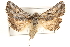  ( - CCDB-22944-B02)  @14 [ ] CreativeCommons - Attribution (2014) CBG Photography Group Centre for Biodiversity Genomics
