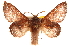  ( - CCDB-22945-B10)  @11 [ ] CreativeCommons - Attribution (2014) CBG Photography Group Centre for Biodiversity Genomics