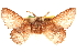  ( - CCDB-22945-B12)  @11 [ ] CreativeCommons - Attribution (2014) CBG Photography Group Centre for Biodiversity Genomics