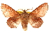  ( - CCDB-22945-C01)  @11 [ ] CreativeCommons - Attribution (2014) CBG Photography Group Centre for Biodiversity Genomics