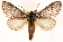  ( - CCDB-22947-A05)  @11 [ ] CreativeCommons - Attribution (2014) CBG Photography Group Centre for Biodiversity Genomics