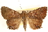  ( - CCDB-22947-D12)  @14 [ ] CreativeCommons - Attribution (2014) CBG Photography Group Centre for Biodiversity Genomics