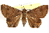  ( - CCDB-22947-E02)  @15 [ ] CreativeCommons - Attribution (2014) CBG Photography Group Centre for Biodiversity Genomics