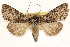 ( - CCDB-22947-F07)  @14 [ ] CreativeCommons - Attribution (2014) CBG Photography Group Centre for Biodiversity Genomics