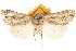  ( - CCDB-22948-G09)  @11 [ ] CreativeCommons - Attribution (2014) CBG Photography Group Centre for Biodiversity Genomics