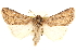  ( - CCDB-22948-G10)  @11 [ ] CreativeCommons - Attribution (2014) CBG Photography Group Centre for Biodiversity Genomics