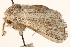  ( - CCDB-22948-G12)  @11 [ ] CreativeCommons - Attribution (2014) CBG Photography Group Centre for Biodiversity Genomics