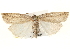  ( - CCDB-22948-H04)  @14 [ ] CreativeCommons - Attribution (2014) CBG Photography Group Centre for Biodiversity Genomics