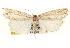  ( - CCDB-22948-H05)  @13 [ ] CreativeCommons - Attribution (2014) CBG Photography Group Centre for Biodiversity Genomics
