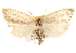  ( - CCDB-22948-H07)  @14 [ ] CreativeCommons - Attribution (2014) CBG Photography Group Centre for Biodiversity Genomics