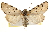  ( - CCDB-22950-E07)  @15 [ ] CreativeCommons - Attribution (2014) CBG Photography Group Centre for Biodiversity Genomics