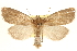  ( - CCDB-22950-G04)  @15 [ ] CreativeCommons - Attribution (2014) CBG Photography Group Centre for Biodiversity Genomics