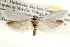  ( - CCDB-22951-A02)  @14 [ ] CreativeCommons - Attribution (2014) CBG Photography Group Centre for Biodiversity Genomics