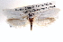  (Tegeticula tehucana - CCDB-22951-A09)  @13 [ ] CreativeCommons - Attribution (2014) CBG Photography Group Centre for Biodiversity Genomics