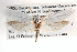  ( - CCDB-22951-A10)  @13 [ ] CreativeCommons - Attribution (2014) CBG Photography Group Centre for Biodiversity Genomics