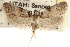  ( - CCDB-22951-D11)  @11 [ ] CreativeCommons - Attribution (2014) CBG Photography Group Centre for Biodiversity Genomics