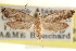  ( - CCDB-22951-F01)  @11 [ ] CreativeCommons - Attribution (2014) CBG Photography Group Centre for Biodiversity Genomics