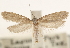  ( - CCDB-22952-G01)  @11 [ ] CreativeCommons - Attribution (2014) CBG Photography Group Centre for Biodiversity Genomics