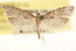  ( - CCDB-22952-G02)  @11 [ ] CreativeCommons - Attribution (2014) CBG Photography Group Centre for Biodiversity Genomics