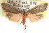  ( - CCDB-22953-D02)  @13 [ ] CreativeCommons - Attribution (2014) CBG Photography Group Centre for Biodiversity Genomics