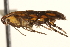  ( - CCDB-22954-C03)  @11 [ ] CreativeCommons - Attribution (2014) CBG Photography Group Centre for Biodiversity Genomics